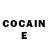 COCAIN Fish Scale Anastasia Bolshakova