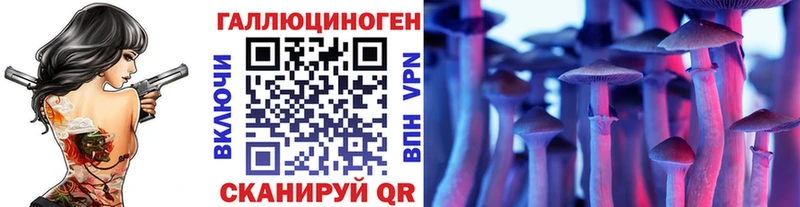 наркота Балей Галлюциногенные грибы MAGIC MUSHROOMS